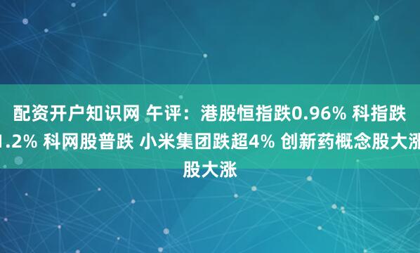 配资开户知识网 午评：港股恒指跌0.96% 科指跌1.2% 科网股普跌 小米集团跌超4% 创新药概念股大涨