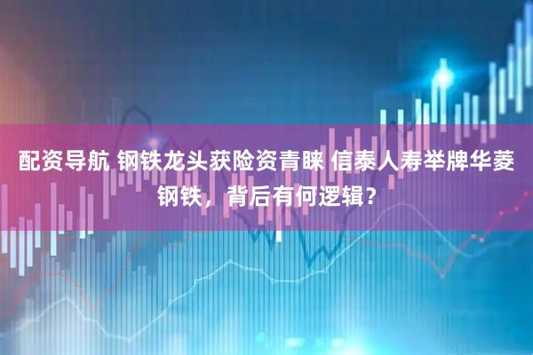 配资导航 钢铁龙头获险资青睐 信泰人寿举牌华菱钢铁，背后有何逻辑？